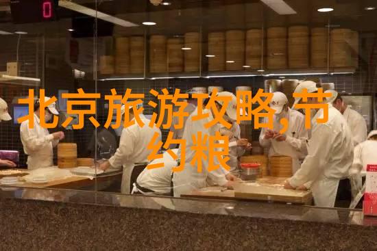 我的宠物乌龟加入你的海洋动物视频可爱宠物与海底世界的奇妙相遇