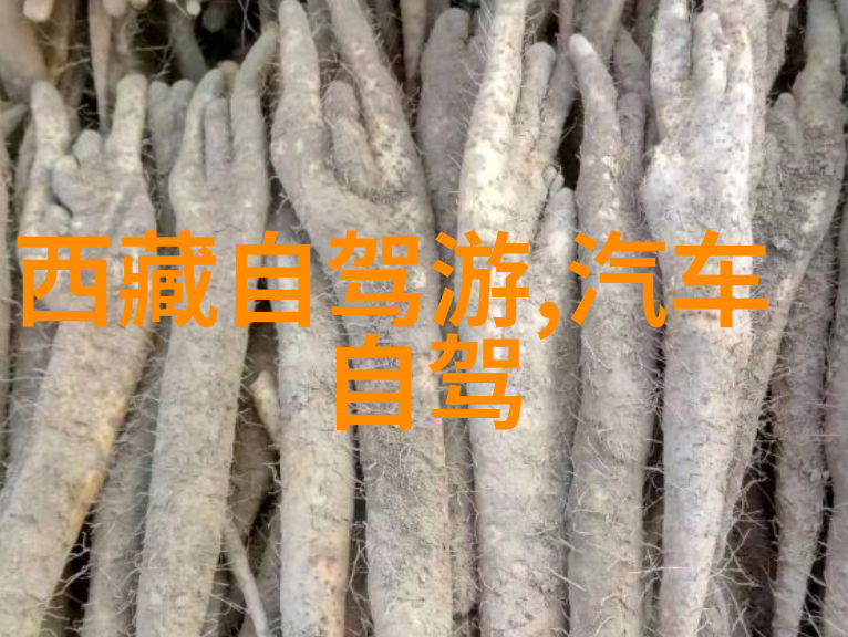 探秘中国仙境穿越十大神秘之地的旅程