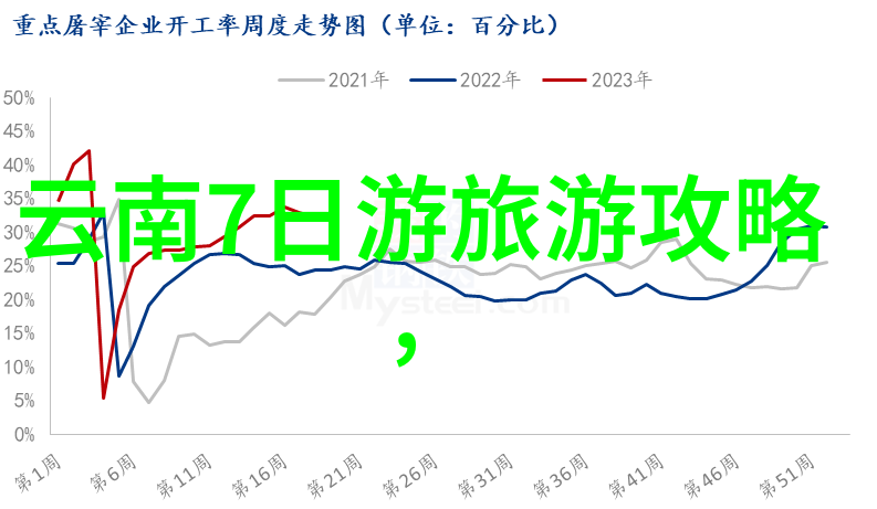 夜幕下的上海11点之后的秘密乐园