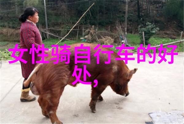 小南海公园春光无限好赏花寻幽趣在其中