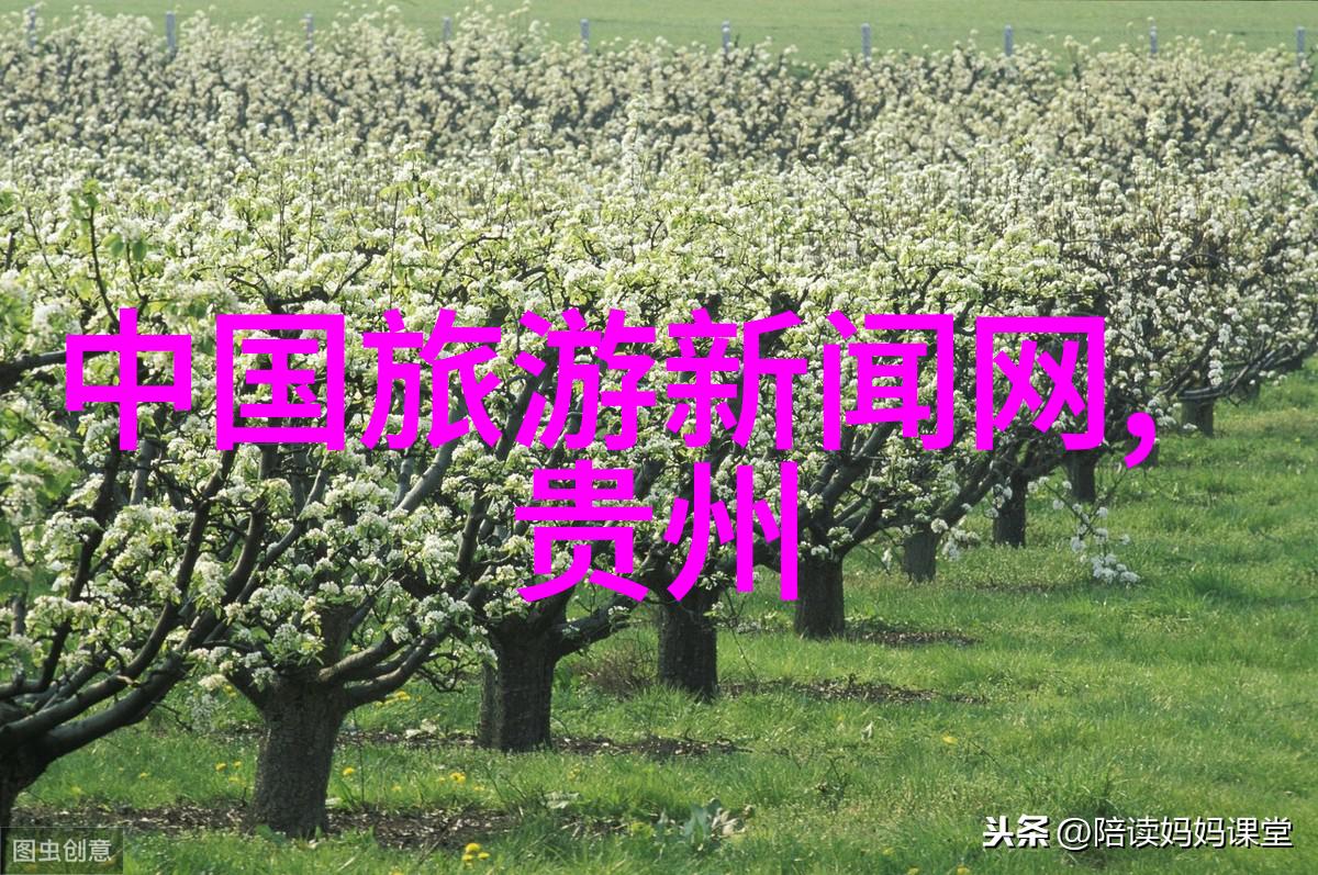 保定夜色下的热闹风情探秘晚上最热闹的夜市