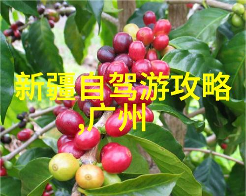 山城居住秘笈曲阜的温馨避风港