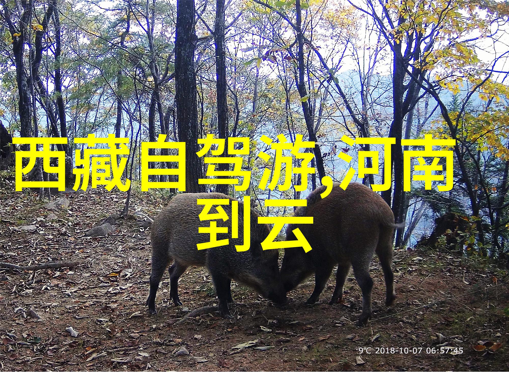 三亚旅游攻略及费用我去三亚的那些花钱的地方一个真实的旅行日记