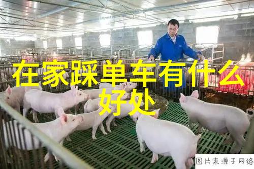 旅游新闻亲戚们的假期小确幸这次去哪儿玩