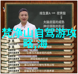 北京旅游攻略和花费我在北京的5天4夜怎么省钱又玩得开心