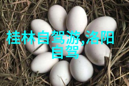 广州出发当日返程的探险之地有哪些与皖南川藏线自驾游攻略相比近在咫尺