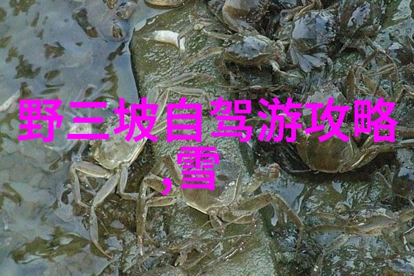 东山岛旅游攻略去青岛旅游人多吗揭秘青岛的旅游淡季之谜