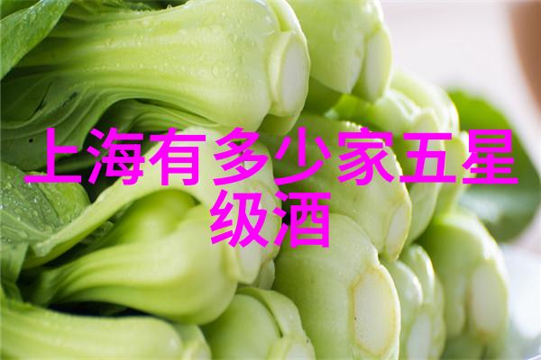 开启童年梦想创设100平米儿童乐园之旅