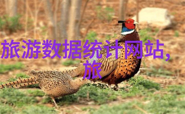 春日游客中国国际旅行社官方网站指引你去哪里最美好