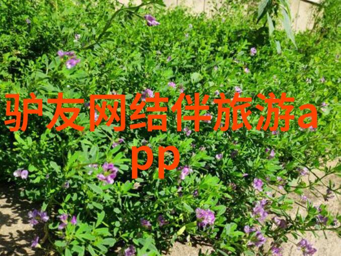 苏伊士运河在哪里地理位置六月出国旅游去哪里好反复探索苏伊士运河的地图之旅