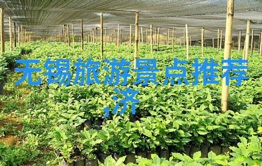 乌镇数字文化艺术的殿堂