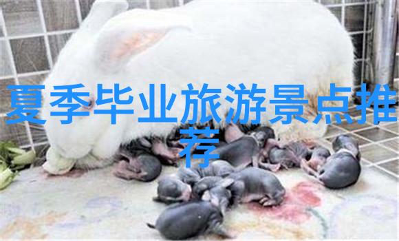 双色把带折扣来袭富律业11月主题促销骑行app主题活动来啦