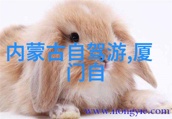 上海老字号大比拼品味传统与现代融合