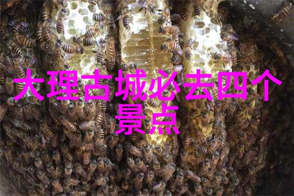 小学生户外大冒险滑雪场游玩攻略