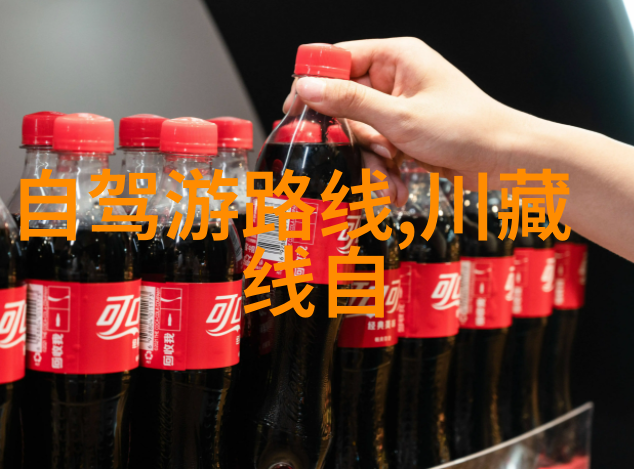 如何保证在旅行中保持健康与安全