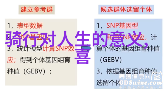 一对一陪旅游首届游方之旅能让你体验到别样的苗乡风情吗