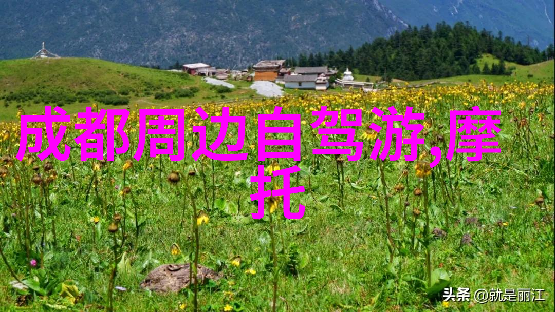 主题-小学生户外活动丰富项目选择指南探索自然增强体质