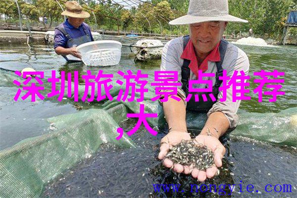 探索上海周边马岭河大桥的奇迹之旅