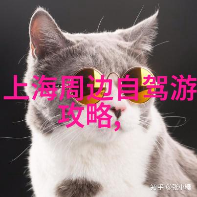 探秘中国寻梦之旅