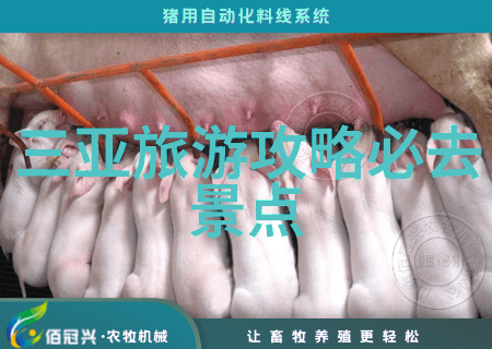 价值观念转变中的年輕一代如何理解他们对新的娱乐形式的接受度