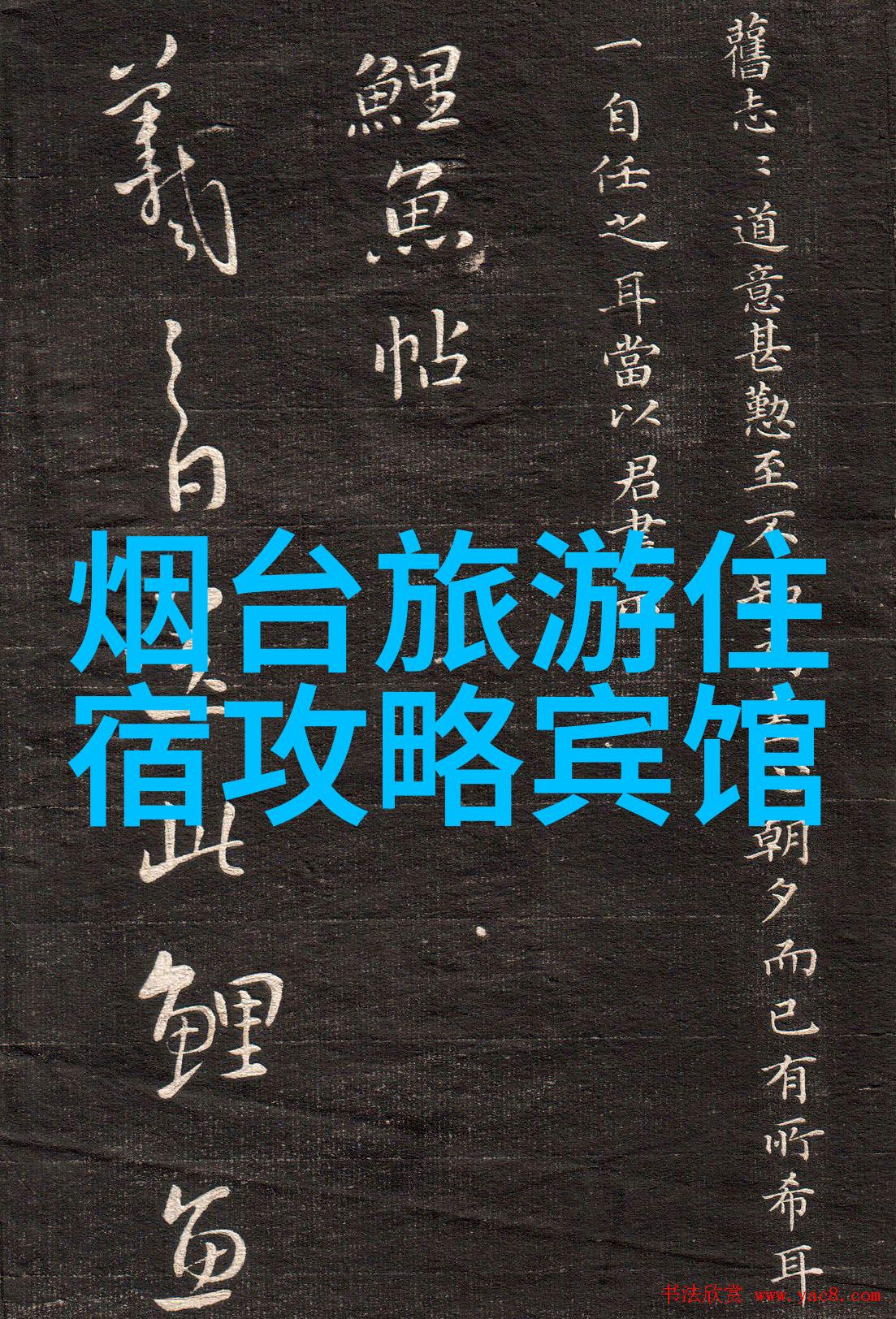西安宝宝趣游探索古都的秘密花园