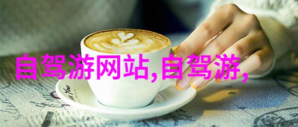 上海居住指南探索当地的住宿需求与选择