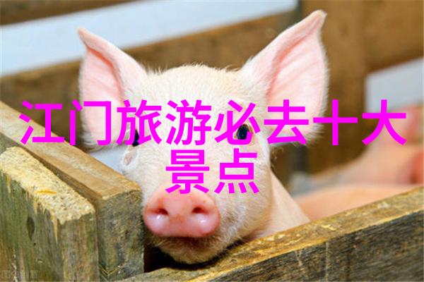 江南古城的魅力探索景德镇的文化遗产与美食之旅