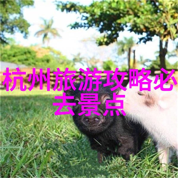 贵阳旅游攻略必玩的景点-探索风情之都贵阳十大不可错过的旅游胜地