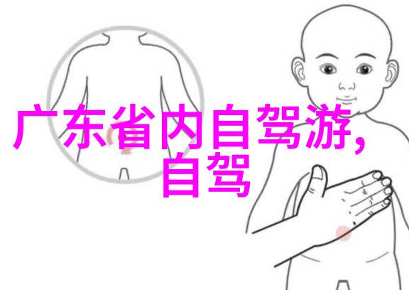 2023年探索华盛顿DC白宫国会大厦林肯纪念堂与华盛顿纪念碑的传奇之旅