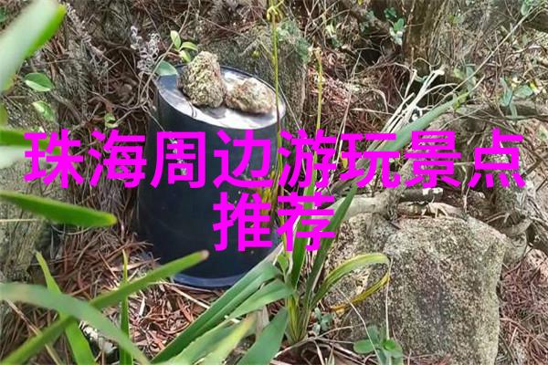 夏日低成本旅行必游景区推荐