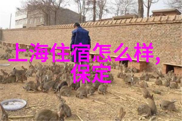 探秘中国旅游新热点揭秘最适合旅行的城市排行榜