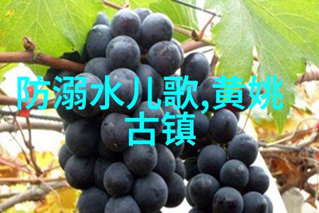 四年级的时空之旅