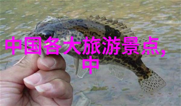 极速骑行4下载手游速度快感冒险旅行策略挑战