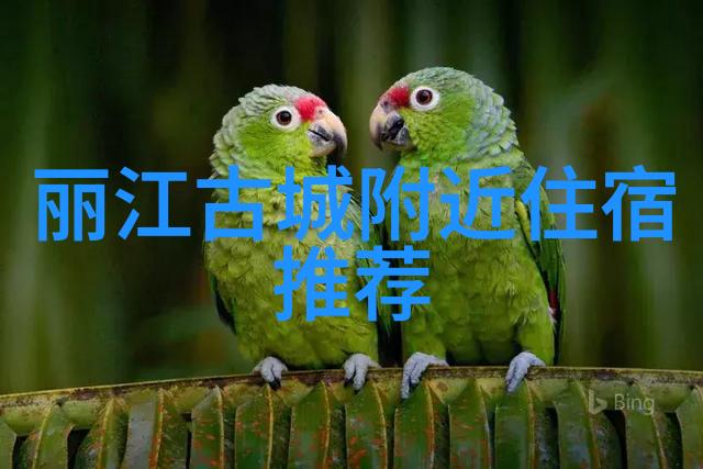 泰山探秘攀登五龙潭的奇迹之旅