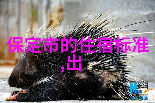疫情后首个国门开放全球游客期待重返异国风情