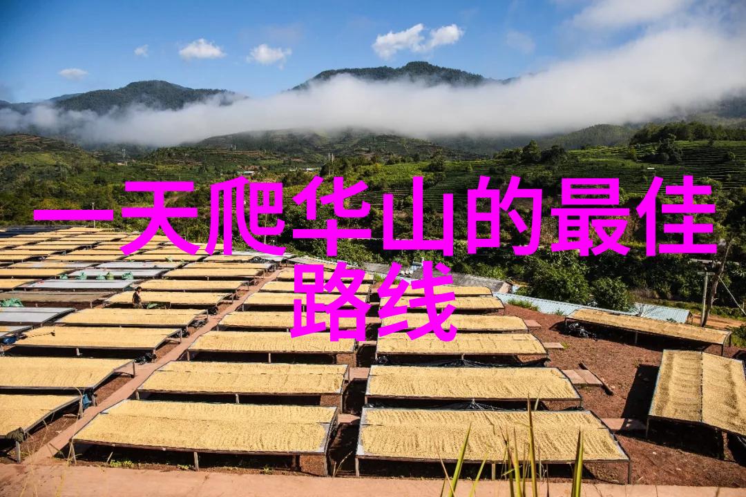 从古城到摩天大楼探索世界上最具反差的旅游景点