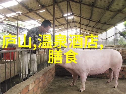 北京户外活动网站探索京城野趣新篇章