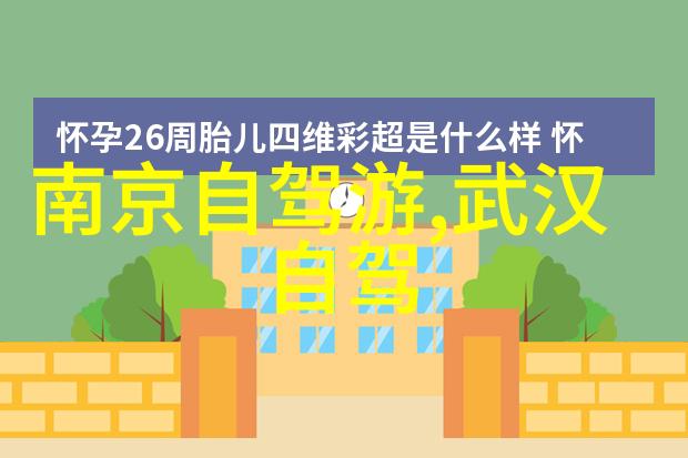 哔哩哔哩外界生存指南