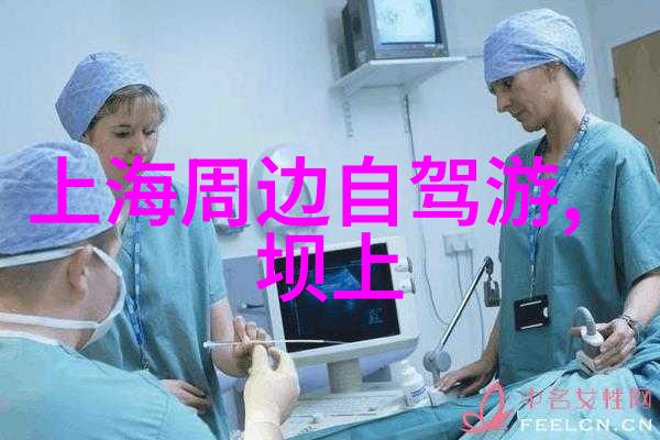 轻盈与力量的完美结合Brujula如何打造Orbea Oiz XC软尾自行车探索捷安特自行车在社会中