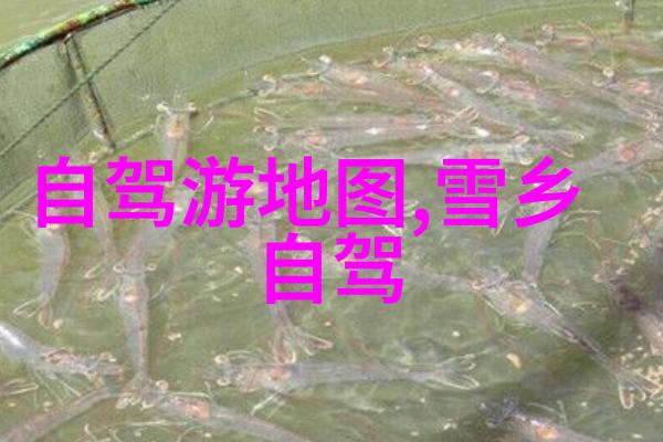 千户苗寨位于哪儿