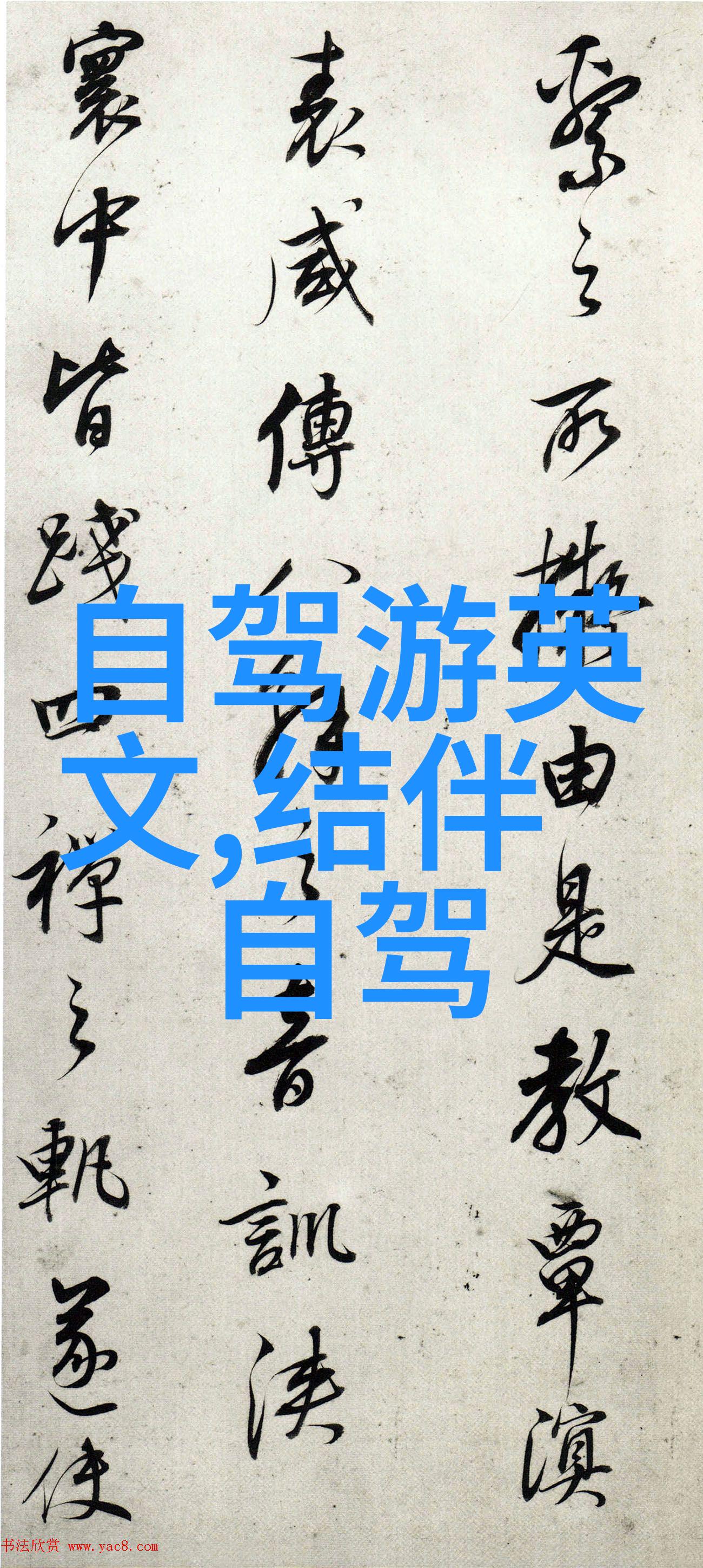 被恋爱守则-守护心动解读现代恋爱的禁忌与准则