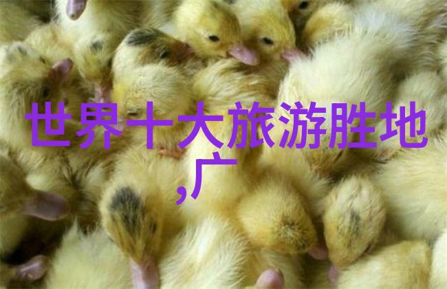 在四川旅行中安全问题该怎么预防和处理