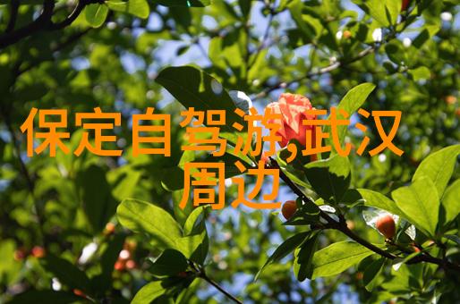 武汉奇趣漫步探索江城古韵与现代魅力