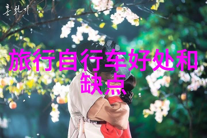 出国旅行所需文件办理护照签证申请行程安排