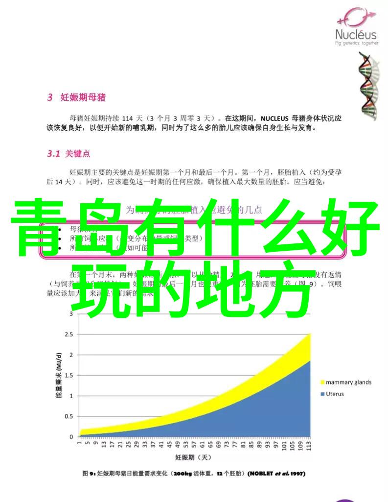 全球开放之旅现在可以去的热门旅游国家指南
