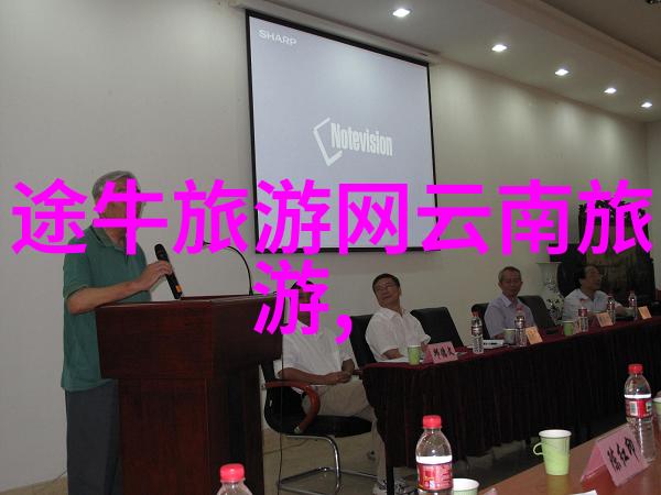 团队协作与乐趣融合设计一个完美的团建盛会