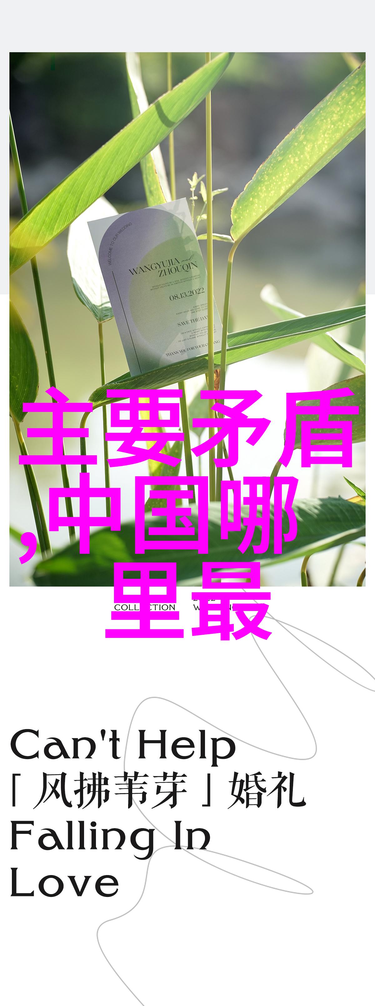 团队协作之旅探索拓展训练的奥秘