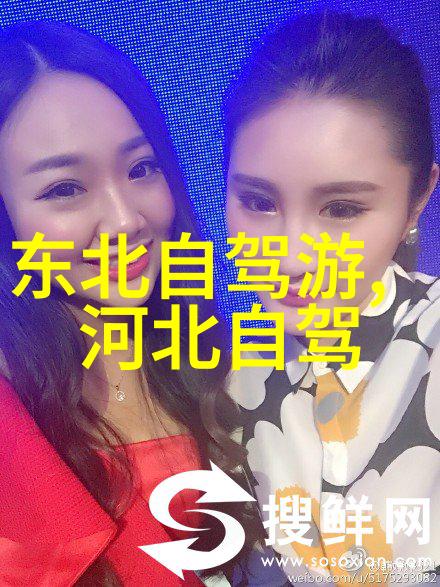 寒蝉凛然之旅探索冬季旅游的经济效益与文化体验