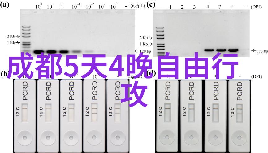 成都熊猫基地门票免费政策最新2023