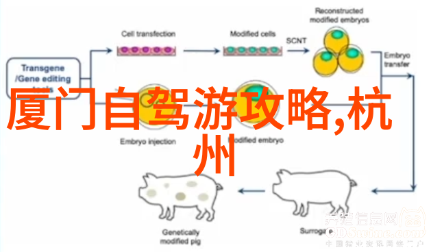 你知道吗小红书上有哪些超级便捷的快餐制作方法